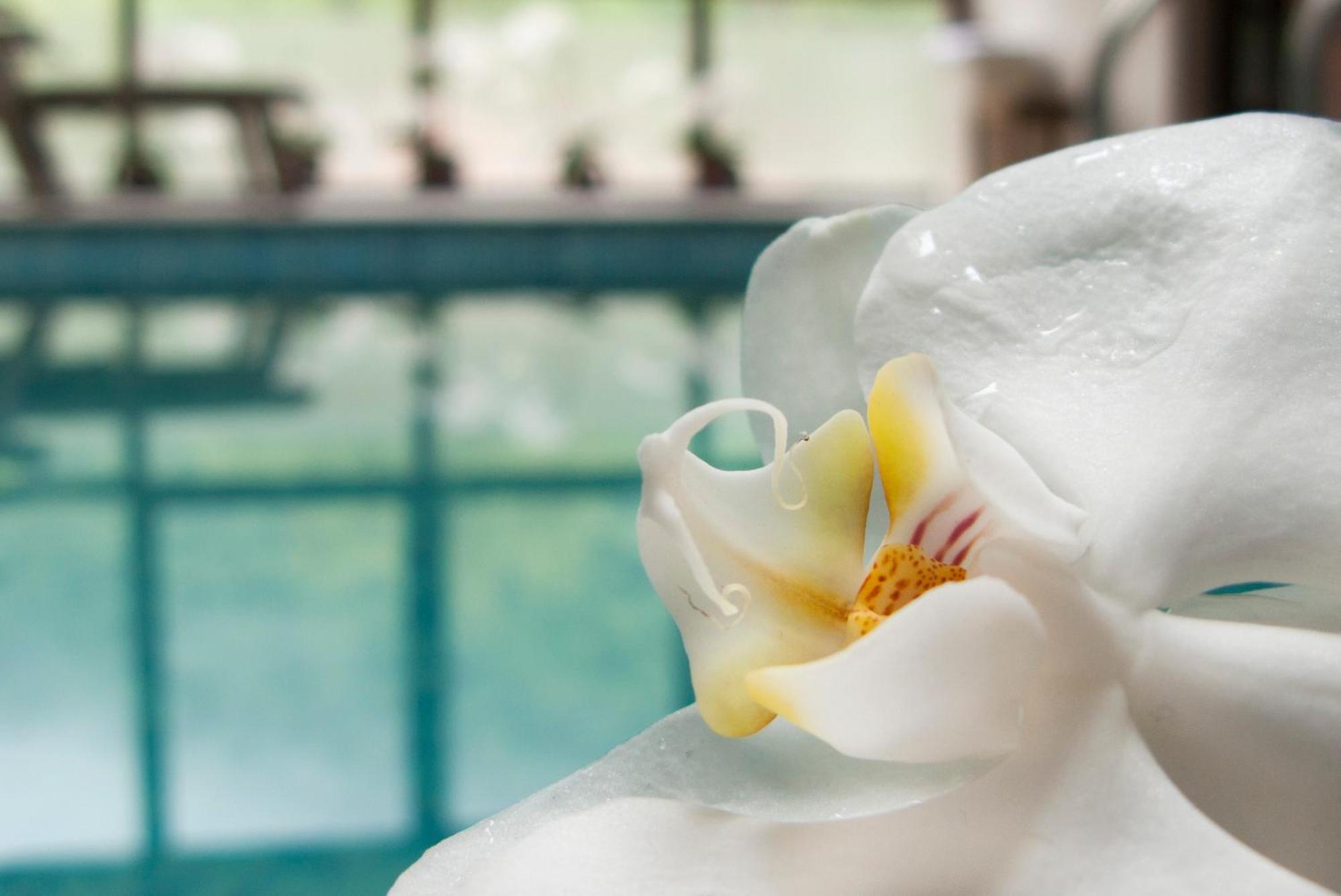 Aqua Varvara Hotel Vetren Dol المظهر الخارجي الصورة
